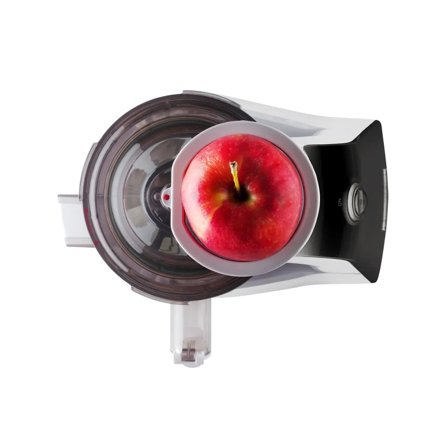 Concept LO7065 - 3-in-1 Schneckenentsafter 240W/230V grau