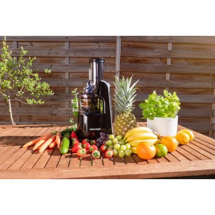 Concept LO7067 - Schneckenentsafter 3-in-1 240W/230V schwarz