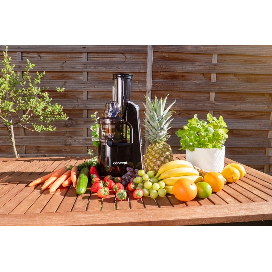Concept LO7067 - Schneckenentsafter 3-in-1 240W/230V schwarz
