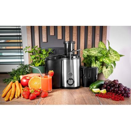 Concept LO7095 - Zentrifugalentsafter 1000W/230V Schwarz/Edelstahl