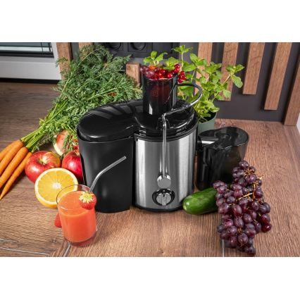 Concept LO7095 - Zentrifugalentsafter 1000W/230V Schwarz/Edelstahl