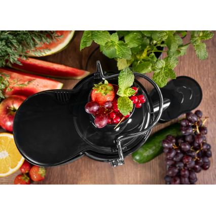 Concept LO7095 - Zentrifugalentsafter 1000W/230V Schwarz/Edelstahl