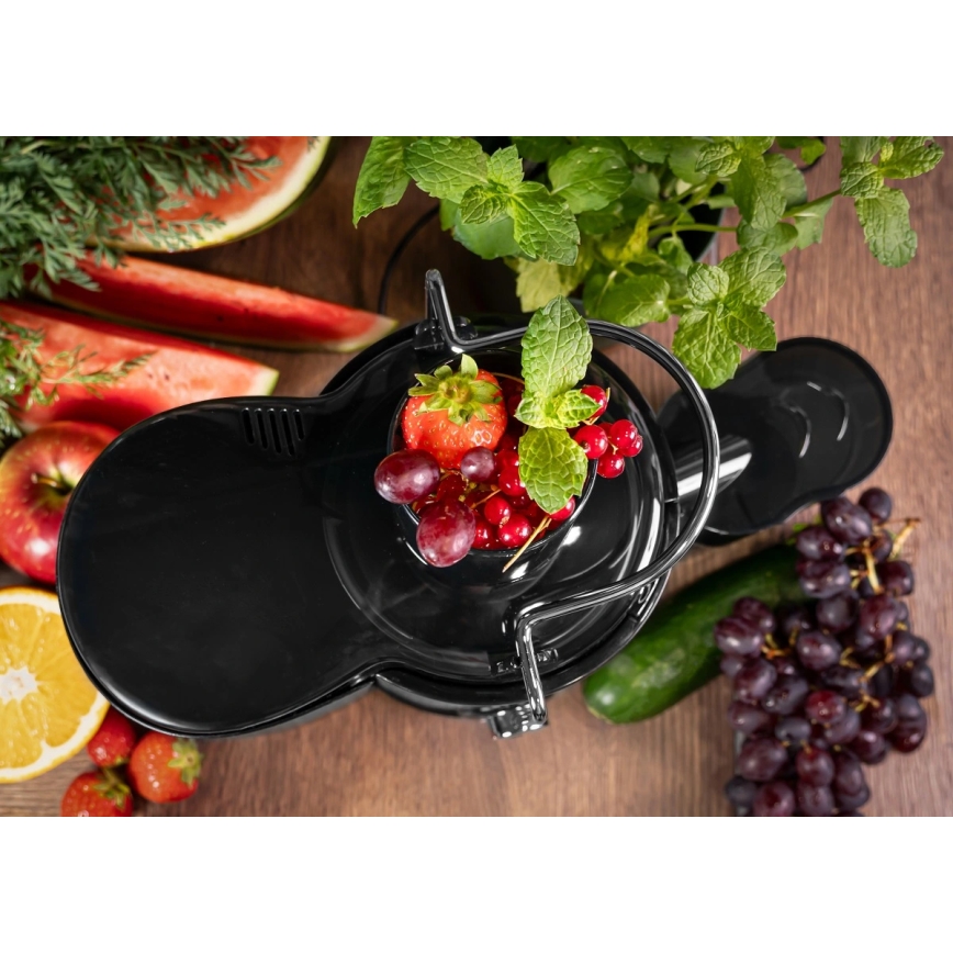 Concept LO7095 - Zentrifugalentsafter 1000W/230V Schwarz/Edelstahl