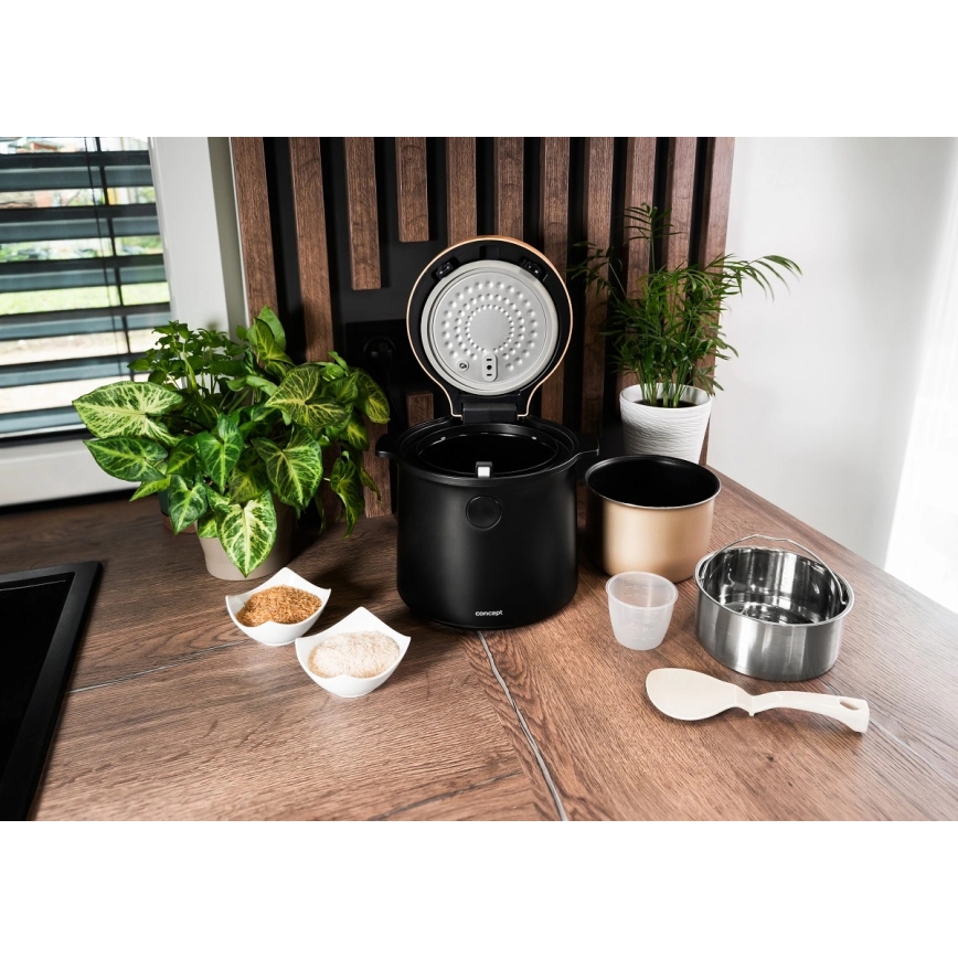 Concept RE4040 - Digitaler Reiskocher 2-in-1 450W/230V 2 l schwarz/Holzdekor