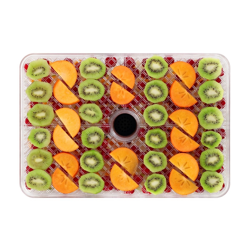 Concept SO2042 - Dörrautomat 500W/230V schwarz + Silikonform