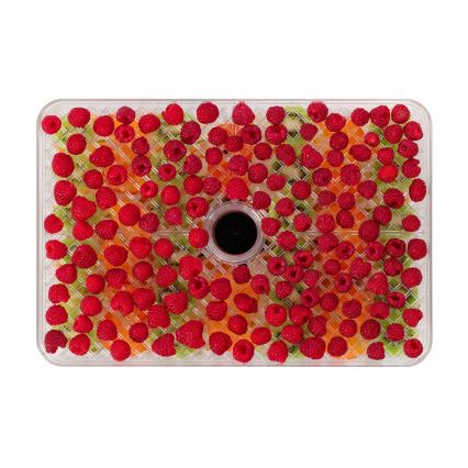 Concept SO2042 - Dörrautomat 500W/230V schwarz + Silikonform