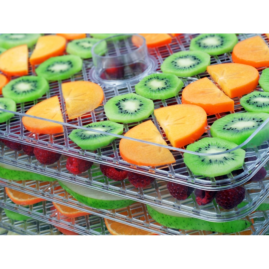 Concept SO2042 - Dörrautomat 500W/230V schwarz + Silikonform