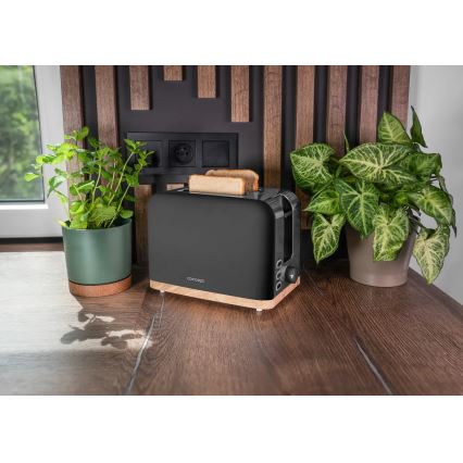 Concept TE2016 - Toaster mit zwei Schlitzen und Brötchenaufsatz 930W/230V schwarz