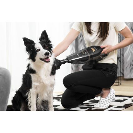 Concept VP4353 - Handstaubsauger WET & DRY RISER EXTENSION 110W/18,5V 2200 mAh schwarz