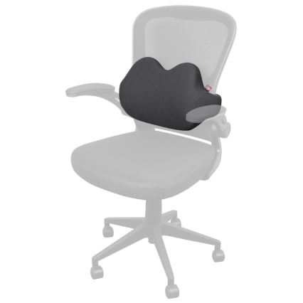 CONNECT IT CFH-5502-GY - Lendenwirbelstütze für den Stuhl anthrazit