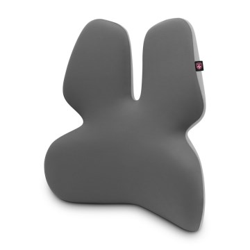 CONNECT IT CFH-5902-GY - Lendenwirbelstütze für den Stuhl grau