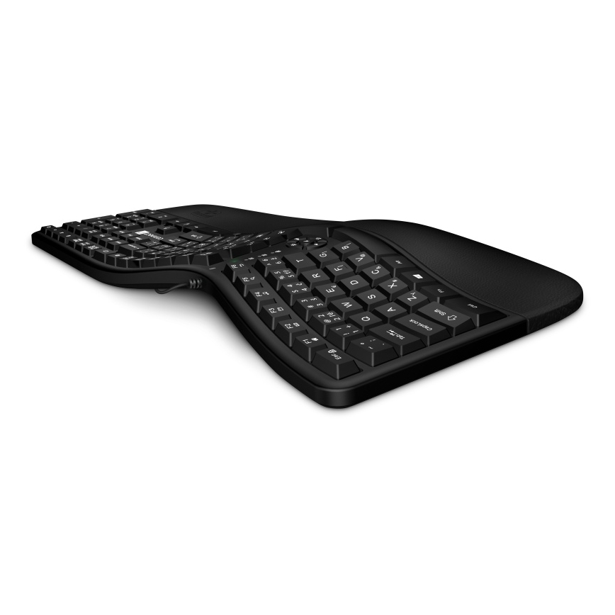 CONNECT IT CKB-2800-CS - Ergonomische kabellose Tastatur mit CZ/SK-Lokalisierung schwarz
