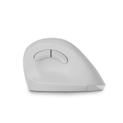 CONNECT IT CMO-2700-WH - Ergonomische, kabellose Maus 800/1200/1600 DPI 1xAA weiß