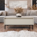 Couchtisch OZMI 100x40 cm Kaschmir