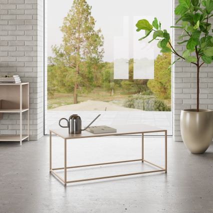 Couchtisch SARON 100x50 cm, grau