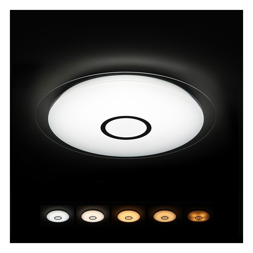 Dalen DL-C319T - LED Deckenleuchte 1xLED/38W/230V