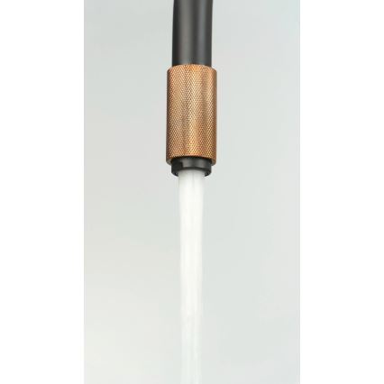 Deante BCA_B64M - Küchenarmatur ASTER, schwarz/messing