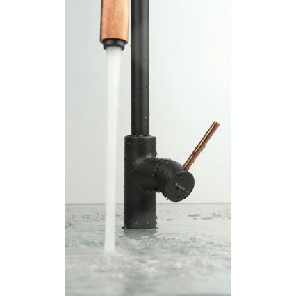 Deante BCA_B64M - Küchenarmatur ASTER, schwarz/messing