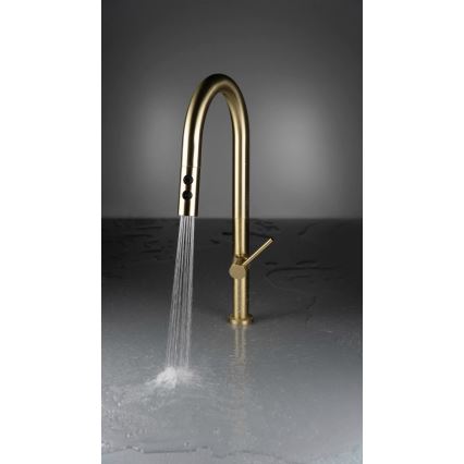 Deante BQO_R72M - Wasserhahn/Armatur mit ausziehbarer Sprühvorrichtung OLFATO gebürstet golden