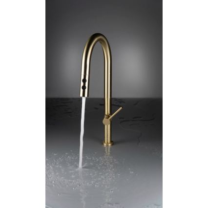 Deante BQO_R72M - Wasserhahn/Armatur mit ausziehbarer Sprühvorrichtung OLFATO gebürstet golden