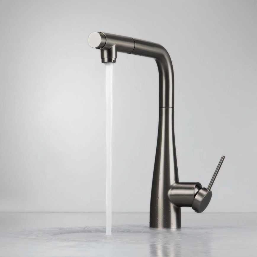 Deante BRE_D75M - Wasserhahn/Armatur mit ausziehbarer Sprühvorrichtung ERIDAN Titanium