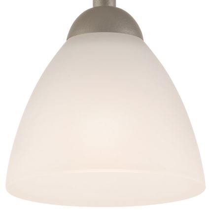 Aufbauleuchte ADRIANO 1xE27/60W/230V Buche