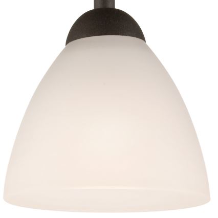 Aufbauleuchte ADRIANO 1xE27/60W/230V Buche