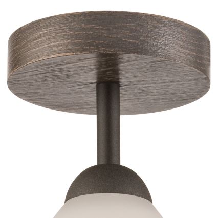 Aufbauleuchte ADRIANO 1xE27/60W/230V Buche