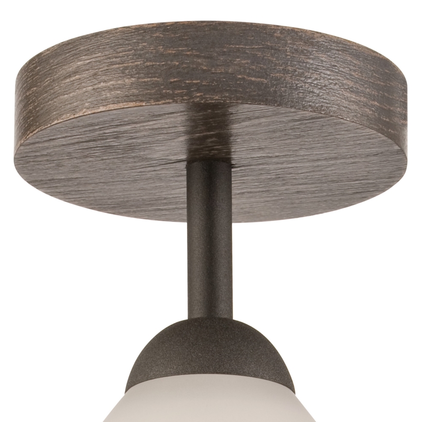 Aufbauleuchte ADRIANO 1xE27/60W/230V Buche