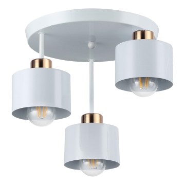 Deckenleuchte an Stange 3xE27/35W/230V d 30 cm weiß/golden