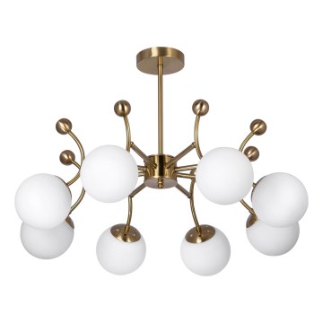 Deckenleuchte an Stange 8xE27/60W/230V golden