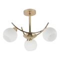 Deckenleuchte an Stange AMOS 3xE27/40W/230V golden