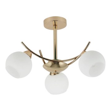 Deckenleuchte an Stange AMOS 3xE27/40W/230V golden