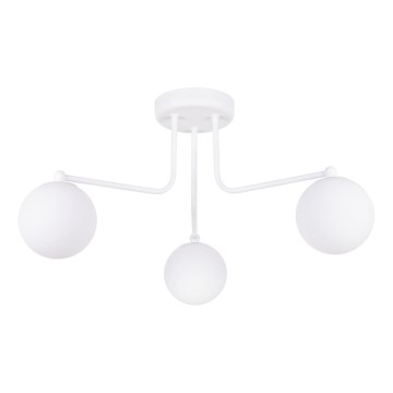 Deckenleuchte an Stange ASTRAL 3xG9/8W/230V weiß