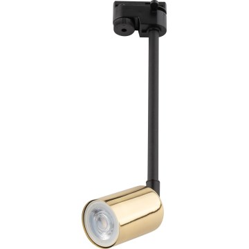 Deckenleuchte an Stange für 1-Phasen-Schienensystem TOP 1xGU10/10W/230V golden/schwarz