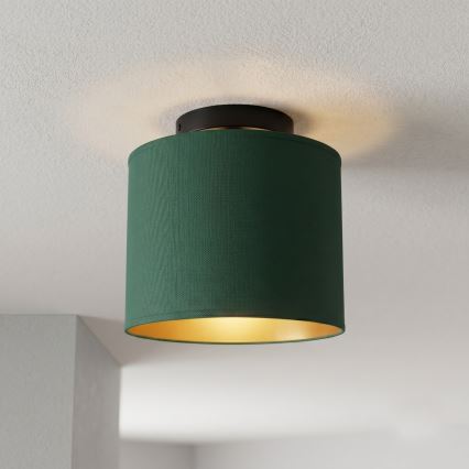Deckenleuchte ARDEN 1xE27/15W/230V Ø 18 cm grün