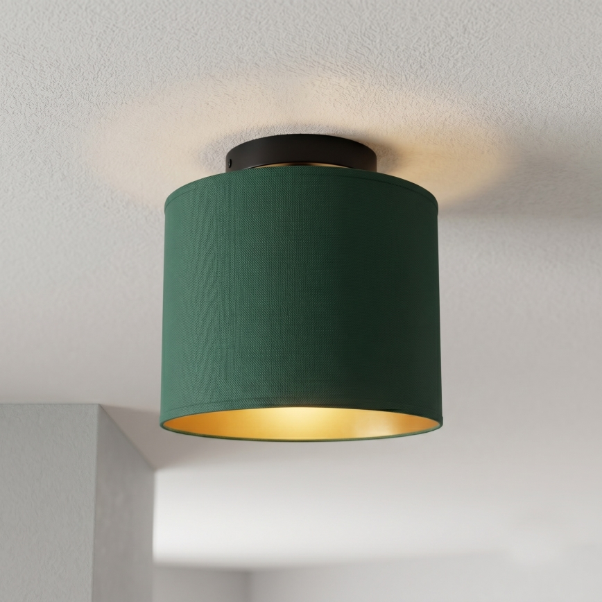 Deckenleuchte ARDEN 1xE27/15W/230V Ø 18 cm grün
