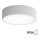 Deckenleuchte CLEO für Badezimmer mit Sensor, 2xE27/24W/230V, Ø 30 cm, grau, IP54