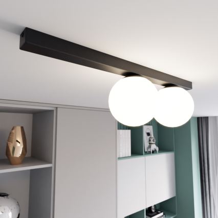 Deckenleuchte FIT 2xE14/10W/230V schwarz/weiß