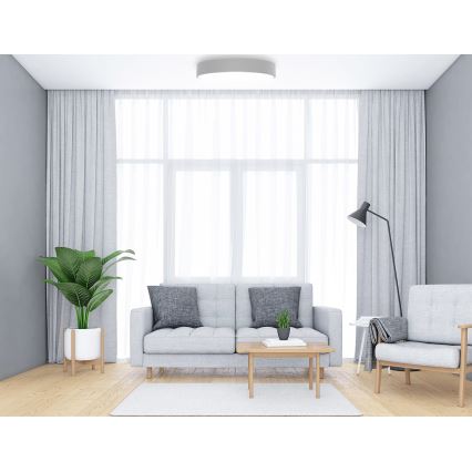 Deckenleuchte CLEO mit Bewegungs- und Dämmerungssensor, 5xE27/24W/230V, Ø 60 cm, grau