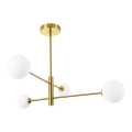 Deckenleuchte mit Stange DORADO 4xG9/40W/230V gold