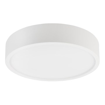 Deckenleuchte NATURAL 3xE27/15W/230V Ø 37,5 cm Kiefer/Weiß