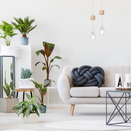 Deckenleuchte an Kabel ORAZIO 1xE27/60W/230V Buche