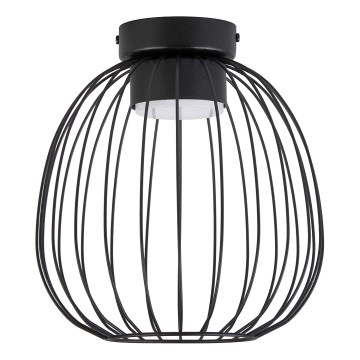 Deckenleuchte OVELLA 1xGX53/10W/230V, Ø 25 cm, schwarz