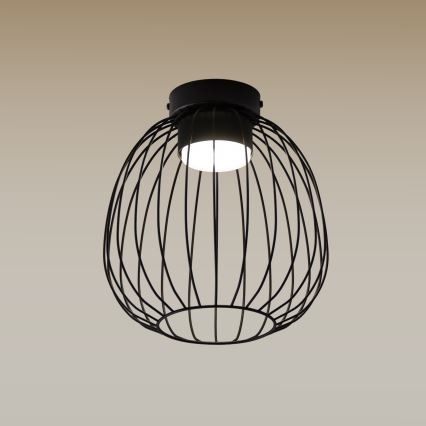 Deckenleuchte OVELLA 1xGX53/10W/230V, Ø 25 cm, schwarz