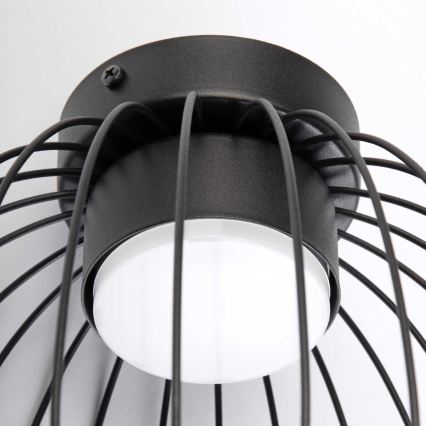 Deckenleuchte OVELLA 1xGX53/10W/230V, Ø 25 cm, schwarz