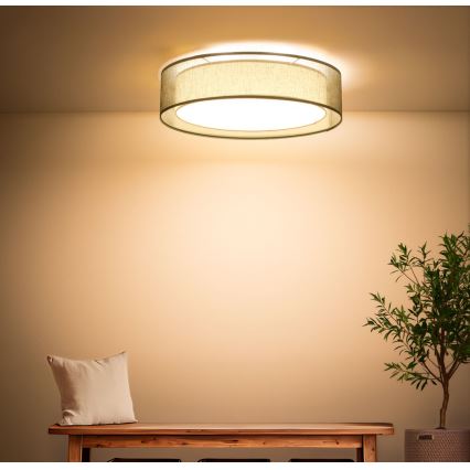 Deckenleuchte PURO, 2xE27/40W/230V, Ø 60 cm, grün