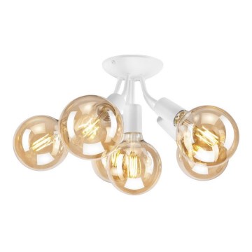 Deckenleuchte VIGGO 6xE27/60W/230V