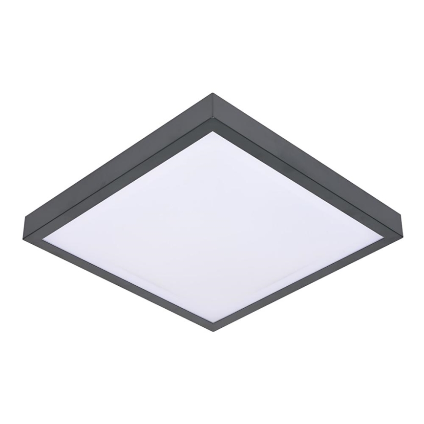 Deckenleuchte VITAL 2xE27/60W/230V anthrazit