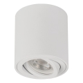 Deckenspot BORD ONE 1xGU10/10W/230V weiß